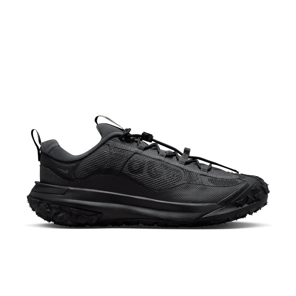 Nike ACG Mountain Fly 2 Low Gore-Tex Dark Smoke Grey