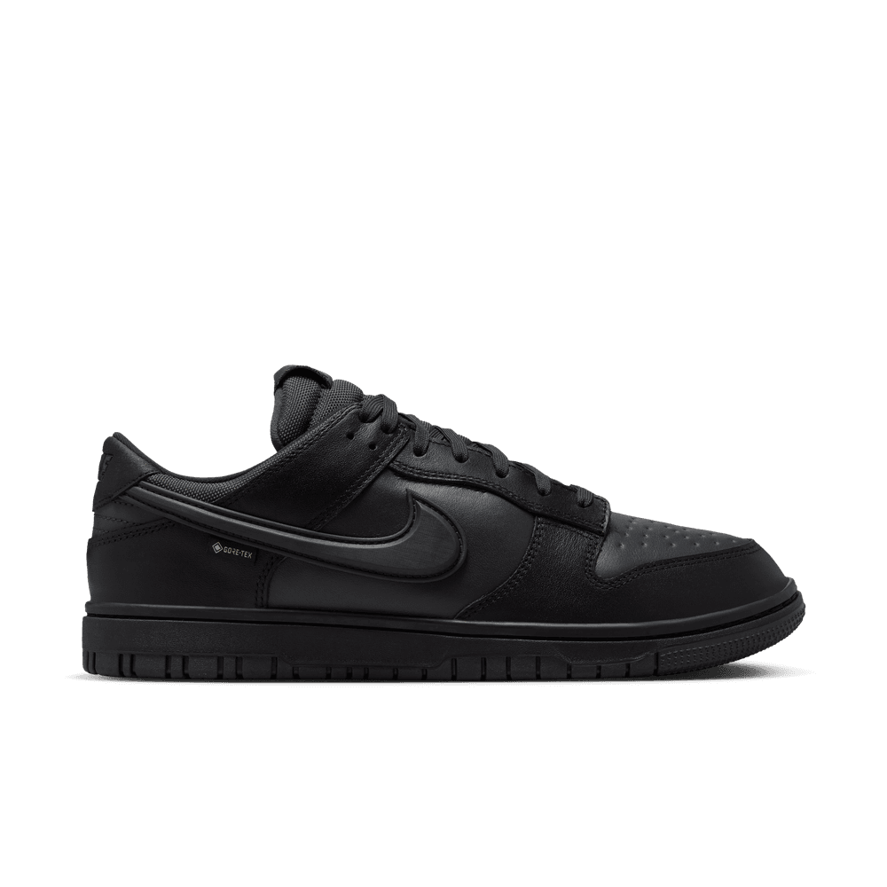 Nike Dunk Low GORE-TEX HQ2053-001