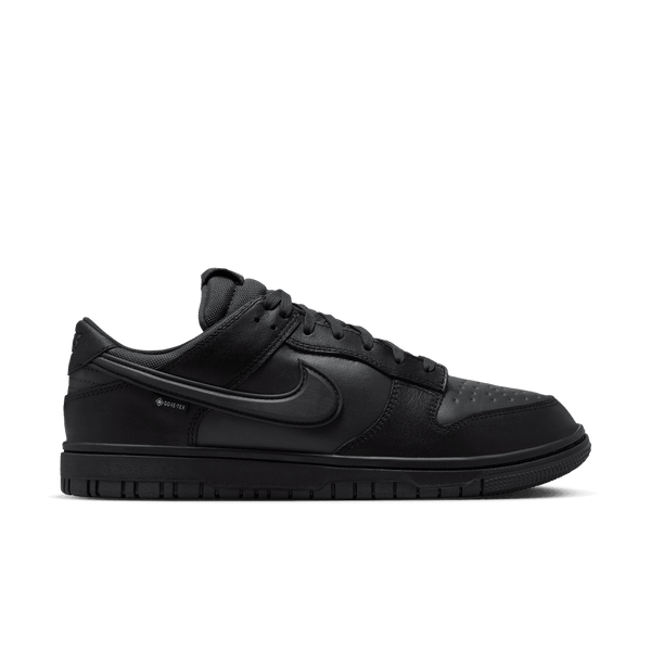 Nike Dunk Low GORE-TEX HQ2053-001